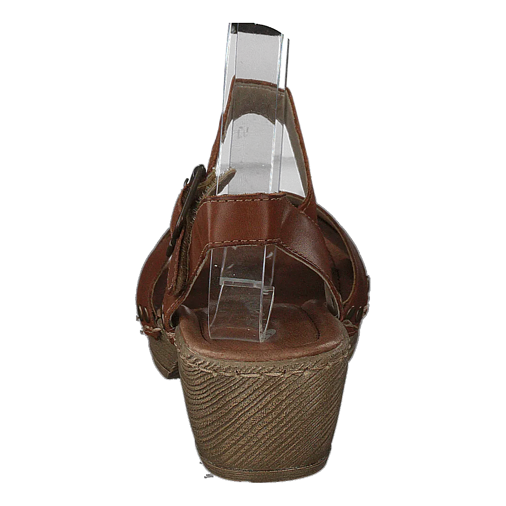 D6955-24 Muskat