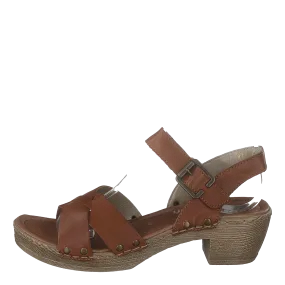 D6955-24 Muskat