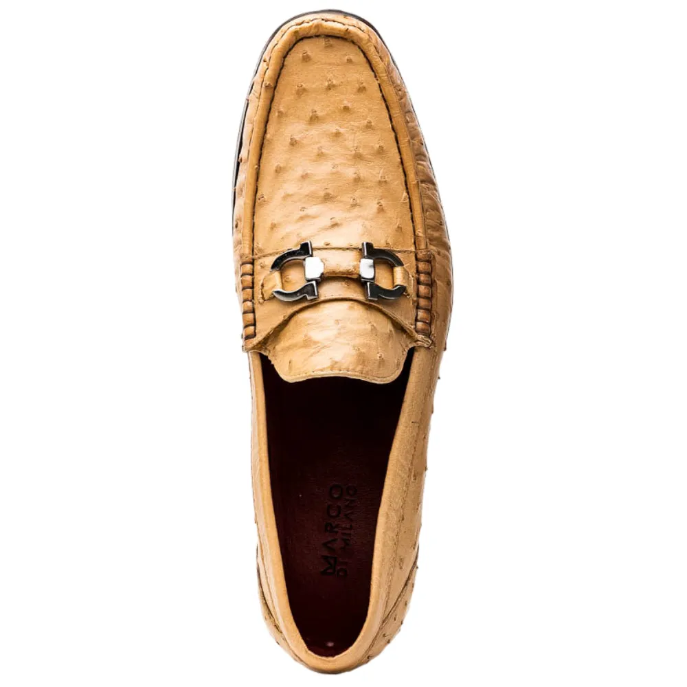 Marco Di Milano Ferrioni Ostrich Orix